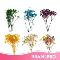 [Bramleso] 1 Saco Tingido Natural Real Pressionado Flores Secas/Folhas Prensadas Para Joias De Resina Pingente Caso Arte