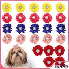 Hyhyhy GLOGLOW Slim Cute Pet Dog Cat Hair Bows Flores Grooming Acessórios Faixas de borracha para amantes