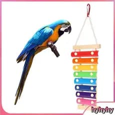 Hyhyhy Frango bicando xilofone brinquedo para animais de estimação papagaios galo durável metal grandes pássaros alívio