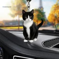 SHENYOU Chaveiros De Gato Acrílico Gatinho Espelho Retrovisor De Carro Pingente Bolsa Anéis Chaveiro Ornamento Para Aces