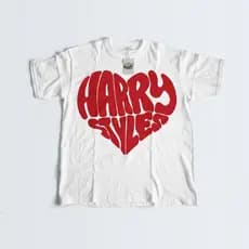 CAMISETA - HARRY STYLES -  KISS ALL THE TIME DISCO OCCASIONALLY - TOGETHER TOGETHER TOUR - 100% ALGODÃO  + BRINDES