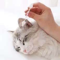 Cotonetes De Ponta De Botões , 55 Peças , Bastões De Algodão Para Animais De Estimação Com Caixa De Armazenament