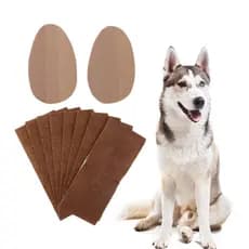 INSTORE Adesivos Para Orelha De Cachorro , Suporte Vertical Doberman , Eretor De Animais De Estimação , Correção , Pinsc