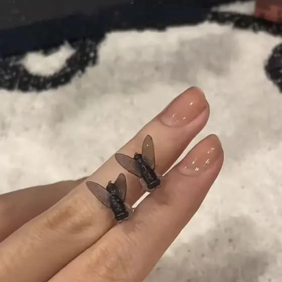 Brincos De Moscas  , Mini Criativos E Engraçados Para Mosca , Pequenos De Insetos Pretos De Personalidade