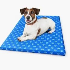 Colchonete Pet Cama Impermeável Caminha Cachorro Gato