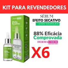 Kit 6 Sérum Anti Espinha e Anti Acne Efeito Secativo  Dermachem 30ml Revenda