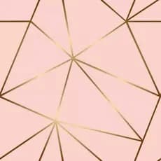 Papel de Parede Zara Rosa 5 METROS X 45CM Auto colante