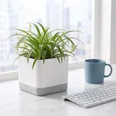 Vasos De Plantas Com Rega Automática SODYX , Plantadores De Flores Furo De Drenagem De Formato Quadrado , De Plástico Pa