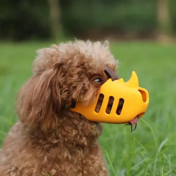 Máscara Bucal Para Animais De Estimação  , Focinho De Cachorro Anti-Mordida Ajustável Silicone Durável E Seguro