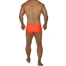 Sunga Masculina Lisa Basica  Adulto Moda Praia Hoggi Wear