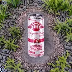 Água Saborizada Acquissima Lata 350 ML  C/6 unidades