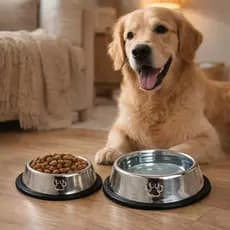 Comedouro e Bebedouro Inox Antiderrapante Tigela Pote Para Cães Gatos - Resistente e Ideal Para Pets de Todos os Portes