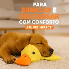 Brinquedo Pelúcia Interativo Resistente Som Pato Morder Brincar Cães Cachorro Pet