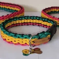 Coleira Reforçada Para Cachorro// Coleira Resistente  De Paracord// Seu Pet Mais Elegante Pro Passeio// Peça Já!!