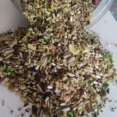 Ração Para Pássaros// Trinca Ferro Kiwi// Mistura Para Pixarro