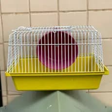 CASINHAS PARA HAMSTER//GAIOLA PARA HAMSTER COM RODINHA//COMPRE JÁ