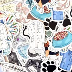 Adesivos stickers - MEDICINA VETERINÁRIA - para bullet journal, bujo, caderno, agenda, planner e presentes