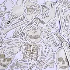 Adesivos stickers ANATOMIA - Figurinhas de saúde bullet journal agenda planner caderno presentes