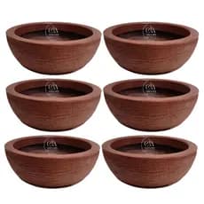 Kit 6 Bacias Cuia Escovada Vaso Planta Cactos Suculentas Rosa do Deserto 34x13 Com Pratos Grande