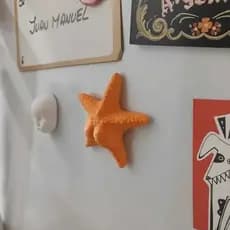 Estrela-do-Mar Divertida com Glúteos para decoração 🧡✨
