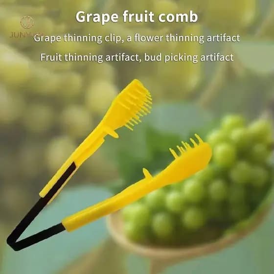 JUNYUM 6.69 Polegadas Clipe De Poda De Uva Ferramenta De Desbaste Frutas Artesanais Botão E De Flores Para Jardinagem Ag