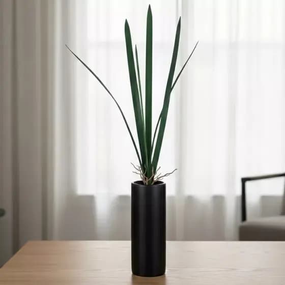 FOLHA ESPADA - Folha de Orquídea 60cm Comprida Folha Verde Complemento para arranjos - ZH801667