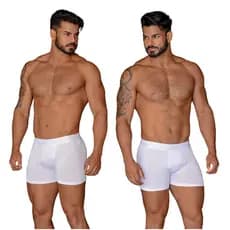 kit 10 Cueca Branca Lisa Microfibra Tecido Premiun