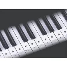 Escala Adesivo c/ notas musicais p/ teclado 36 teclas 5/8