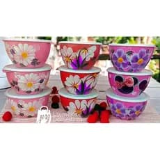 Kit com 20 saladeiras pintada a mão com 4 cores variadas