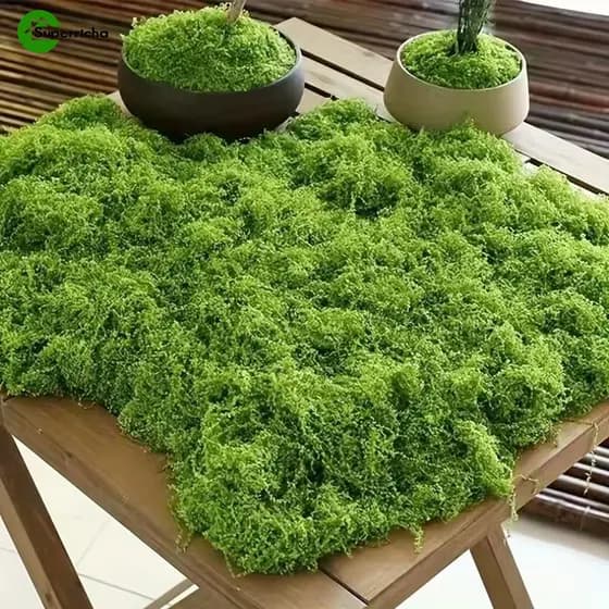 30-100g Musgo Artificial Simulado-Filoso Falso DIY-Turf Para Arranjo De Micro Paisagem-Gramado Bonsai Pavimentação Grama