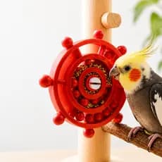Disco Giratório Interativo p/ Aves Brinquedo Inteligente Calopsita Periquito Agapornis Anti Estresse