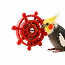 Disco Giratório Interativo p/ Aves Brinquedo Educativo Inteligente Calopsita Periquito Agapornis Anti Estresse