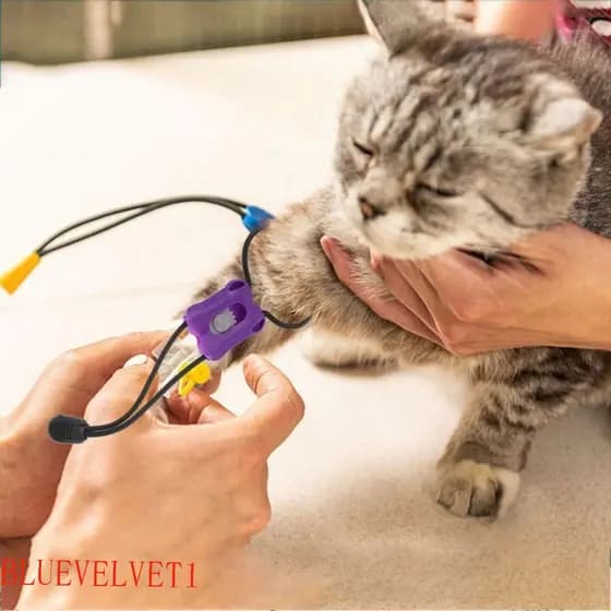 BLUEVELVET1 Torniquete Animal Profissional Plástico Ajustável 2pcs De Emergência De Liberação Rápida