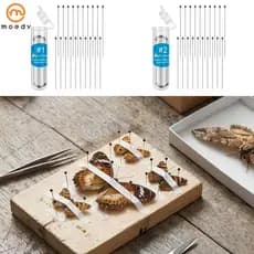 100 Pçs Pino De Amostra De Aço Inoxidável Para Coleção Borboleta Escola Entomologia Display Coletor SHOPSKC3728
