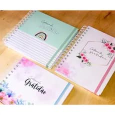Caderno da gratidão, Diário da gratidão