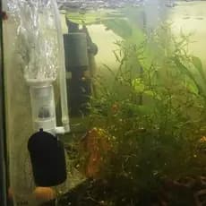 Filtro De Sucção Pneumático Para Aquário XJM-1 PC 3 Em 1 Mini Bomba De Oxigênio Ultrassilenciosa Embutida