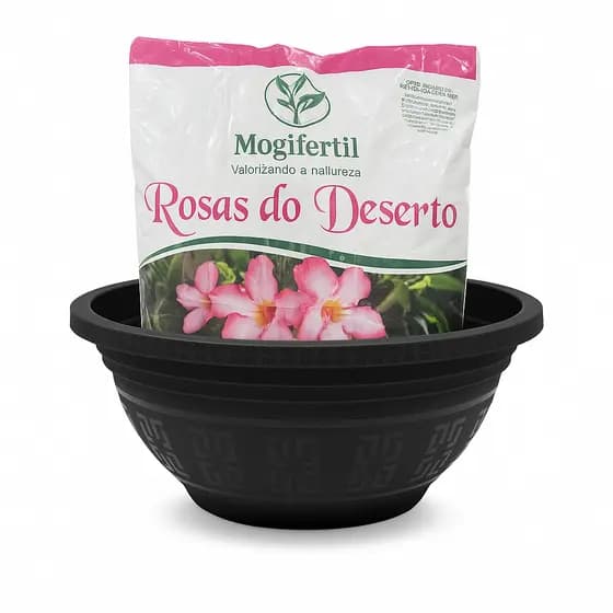 Kit Rosas Do Deserto 2kg Com Cuia 25cm ou 31cm Lupem e Mogifertil