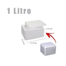 1un caixa térmica de isopor 1 litro / Kg