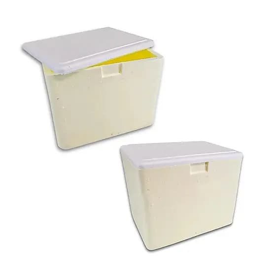 CAIXA DE ISOPOR 8L KG GELO SORVETE MED - ISOTERM