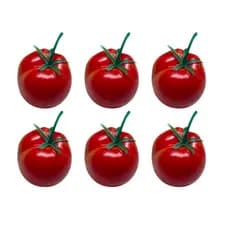 Kit 6 Tomate De Plástico Realista Decorativa Educacional