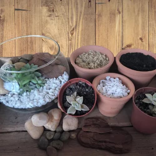 KIT para terrário SEM VIDRO/VASO (musgo + fitônias + itens) mini jardim
