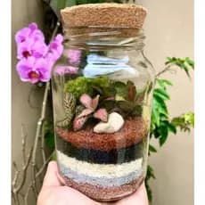 Kit terrário fechado DIY (Monte você mesmo em casa) mini jardim - Presenteável