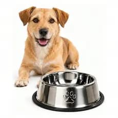 Comedouro Bebedouro Tigela Ração Água De Inox Cachorro Gato