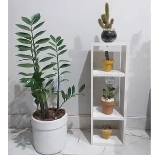 Nicho com Divisórias Decorativo, Branco Suspenso com 50cm - Cozinha, Banheiro, Quarto, Sala,etc...