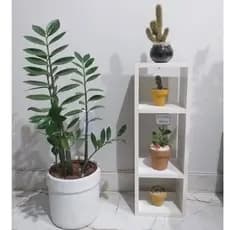 Nicho com Divisórias Decorativo, Branco Suspenso com 50cm - Cozinha, Banheiro, Quarto, Sala,etc...