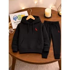 kit infantil moletom + calça passaro vermelho blusa de frio confortavel barato escola premium