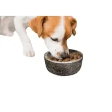 Comedouro Bebedouro Pote Ração Pet Cães/Cachorro Gatos Pedra