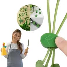 Kit 10 a 50 - Gancho Adesivo Parede Suporte Fixação Planta Trepadeira