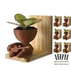 Kit 6 Mini Prateleiras Suporte Multiuso Vasinhos Suculentas Santinhos Fotos