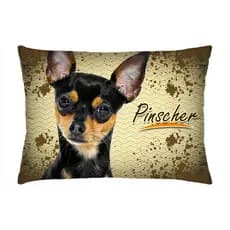Almofada Pinscher